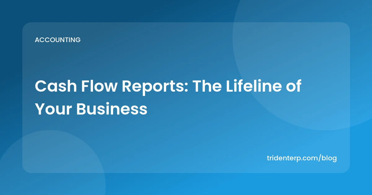 Cash Flow Reports: The Lifeline of Your Business